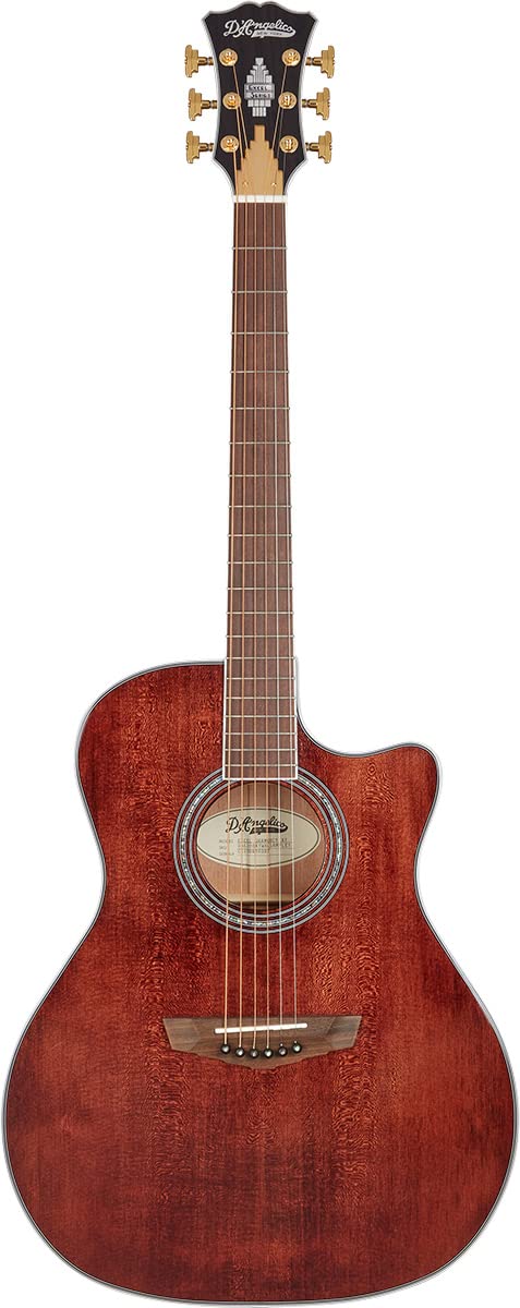 Amazon | D'Angelico Excel Gramercy XT, Walnut Stain | エレアコ